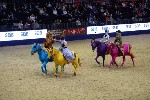 Quadrille - 00509